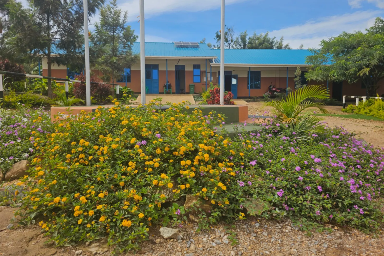 The front of Spectrum Secondary School: yellow and purple flowering shrubs in front of three flagpoles and a classroom block with a blue roof.